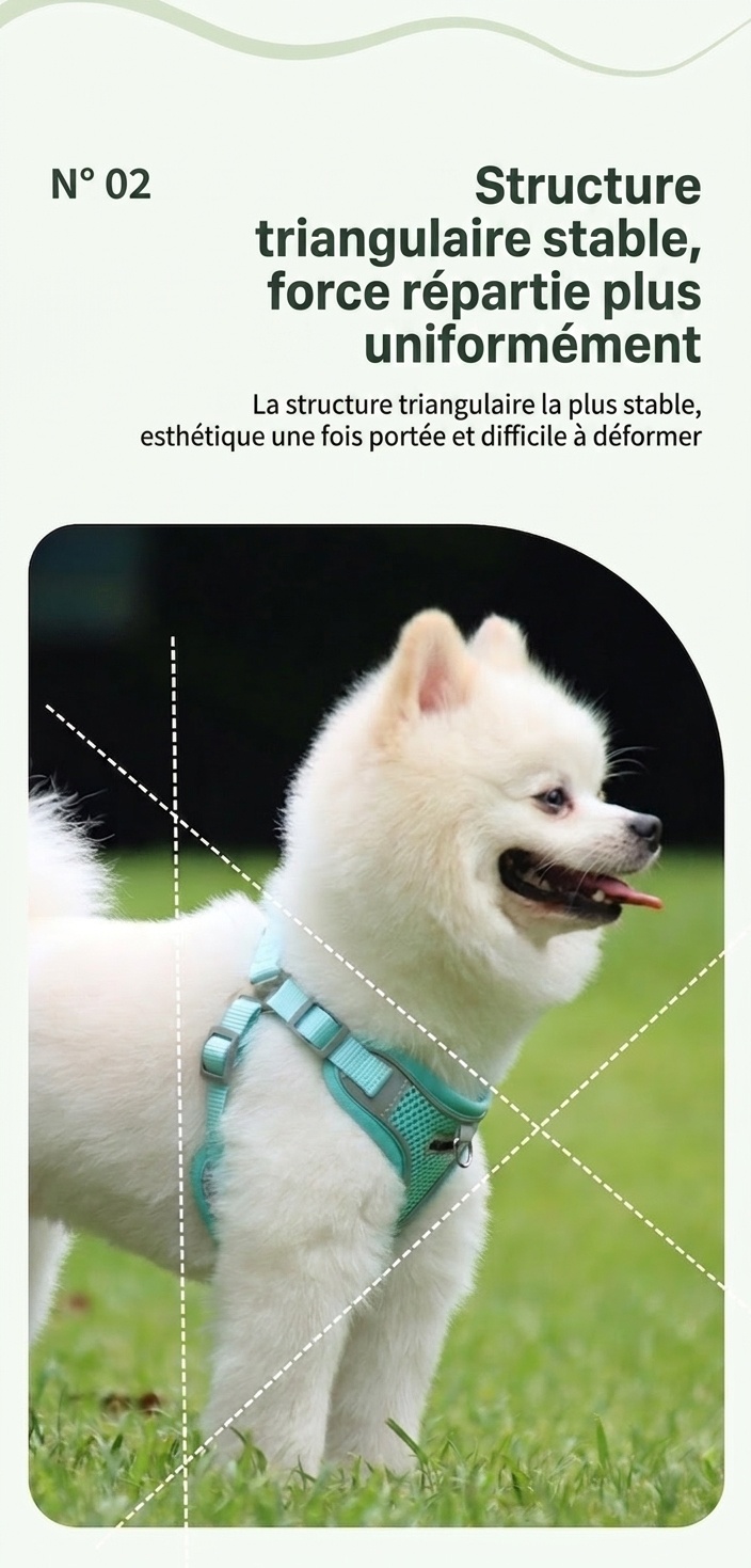 Ensemble harnais et laisse réfléchissants et respirants pour animaux de compagnie - Modèle anti-traction
