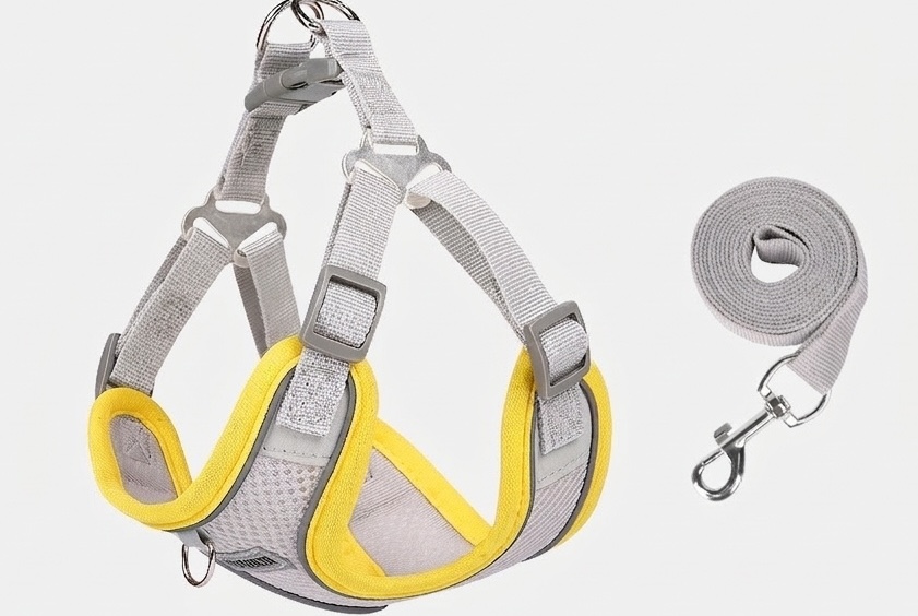 Breathable Reflective Pet Harness & Leash Set - No-Pull Design
