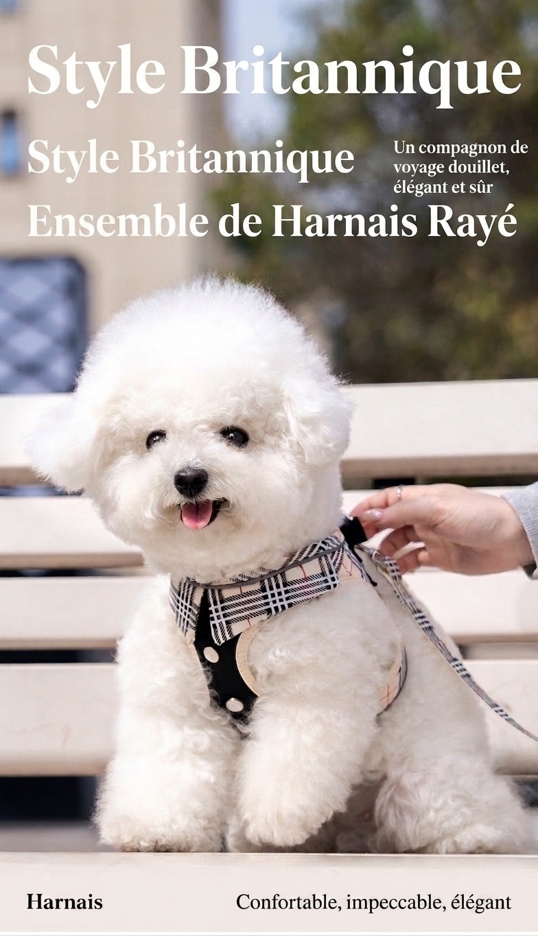 Ensemble harnais, laisse et sac à carreaux élégants pour chien - Gilet réfléchissant pour animaux