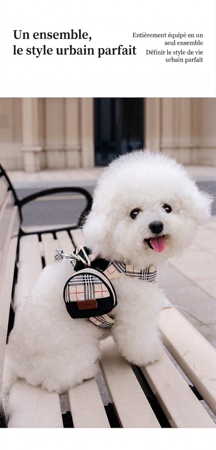 Ensemble harnais, laisse et sac à carreaux élégants pour chien - Gilet réfléchissant pour animaux
