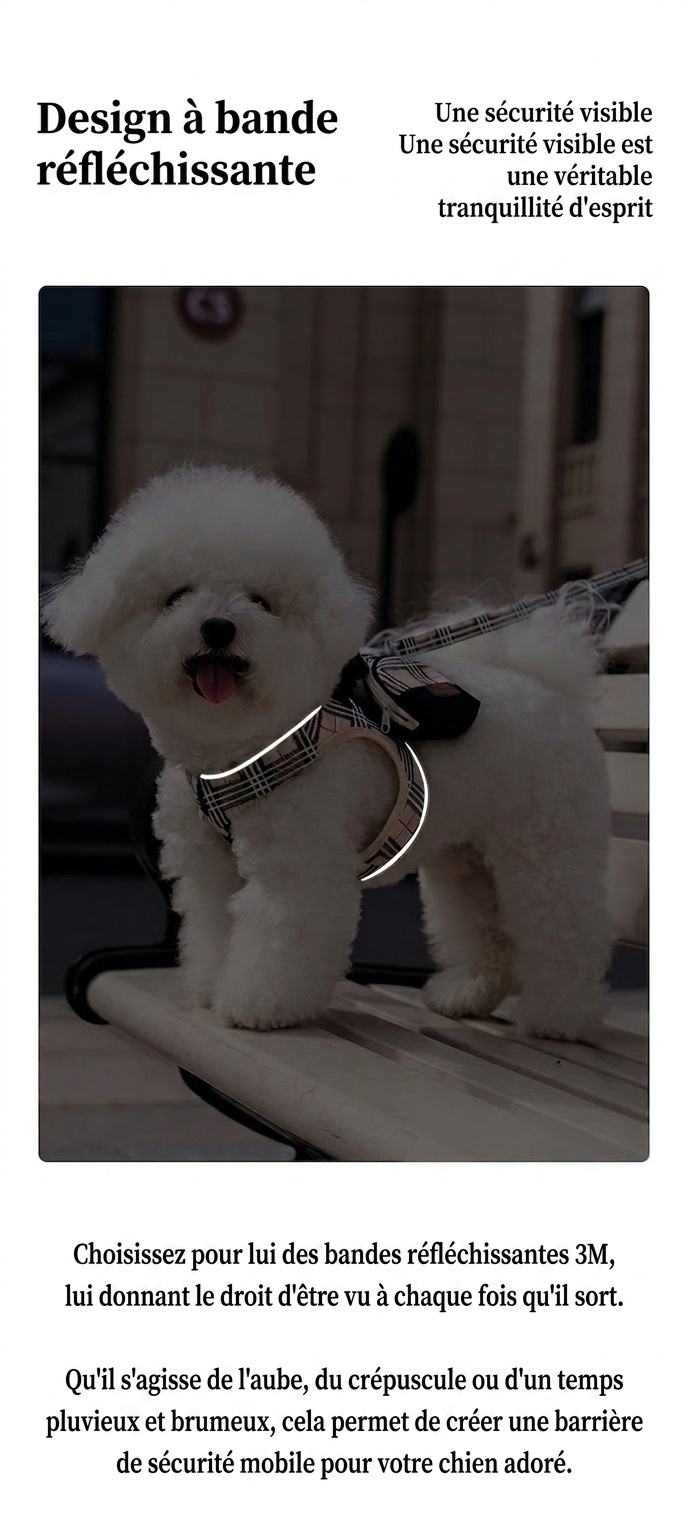 Ensemble harnais, laisse et sac à carreaux élégants pour chien - Gilet réfléchissant pour animaux