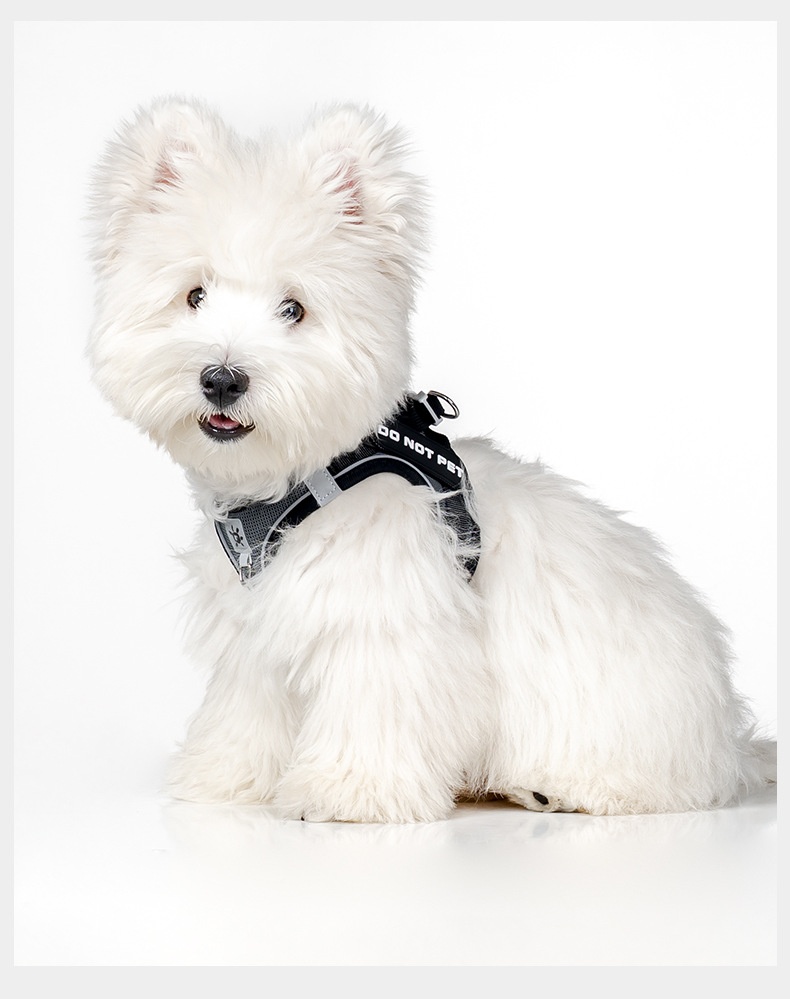 Adjustable Reflective Pet Harness with DIY Patches