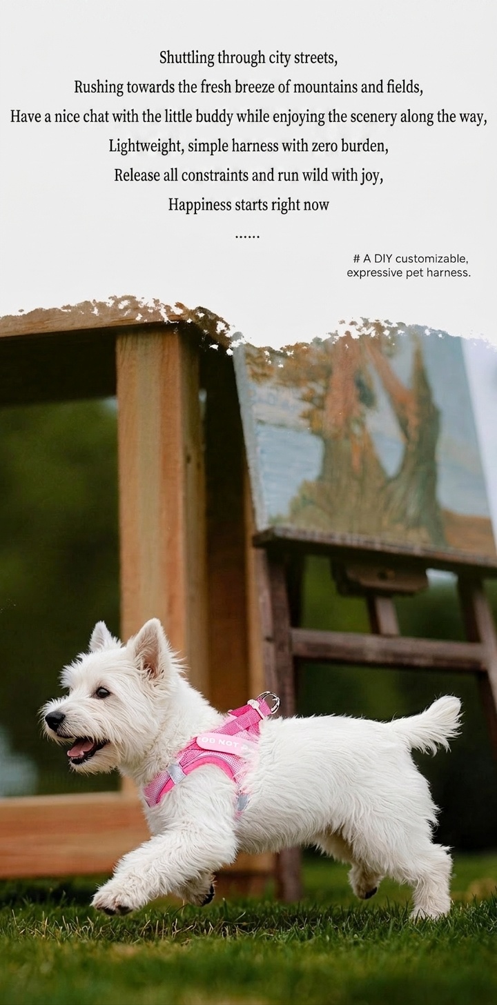 Adjustable Reflective Pet Harness with DIY Patches