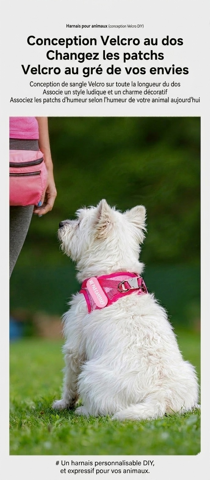 Harnais réfléchissant ajustable pour animaux de compagnie avec patchs à faire soi-même