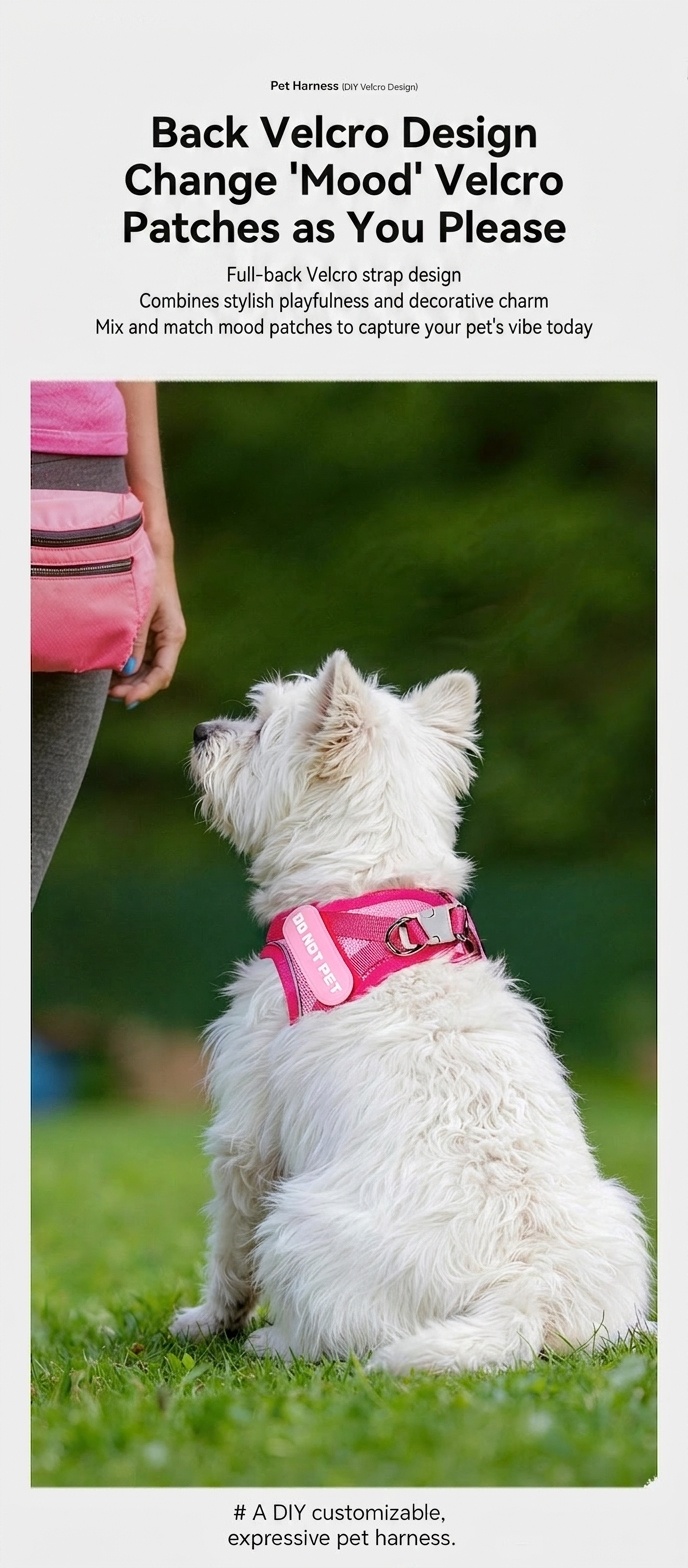 Adjustable Reflective Pet Harness with DIY Patches