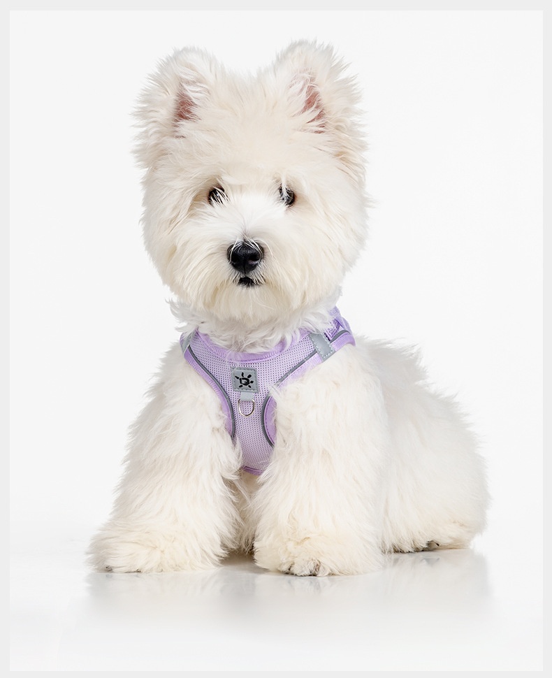 Adjustable Reflective Pet Harness with DIY Patches