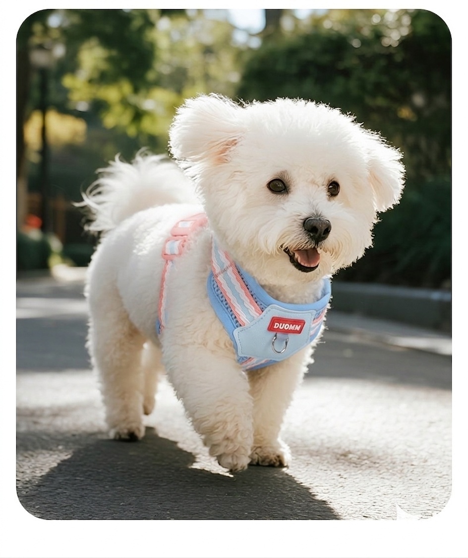 Cute Pet Harness & Leash Set with Plush Toy - Breathable Mesh