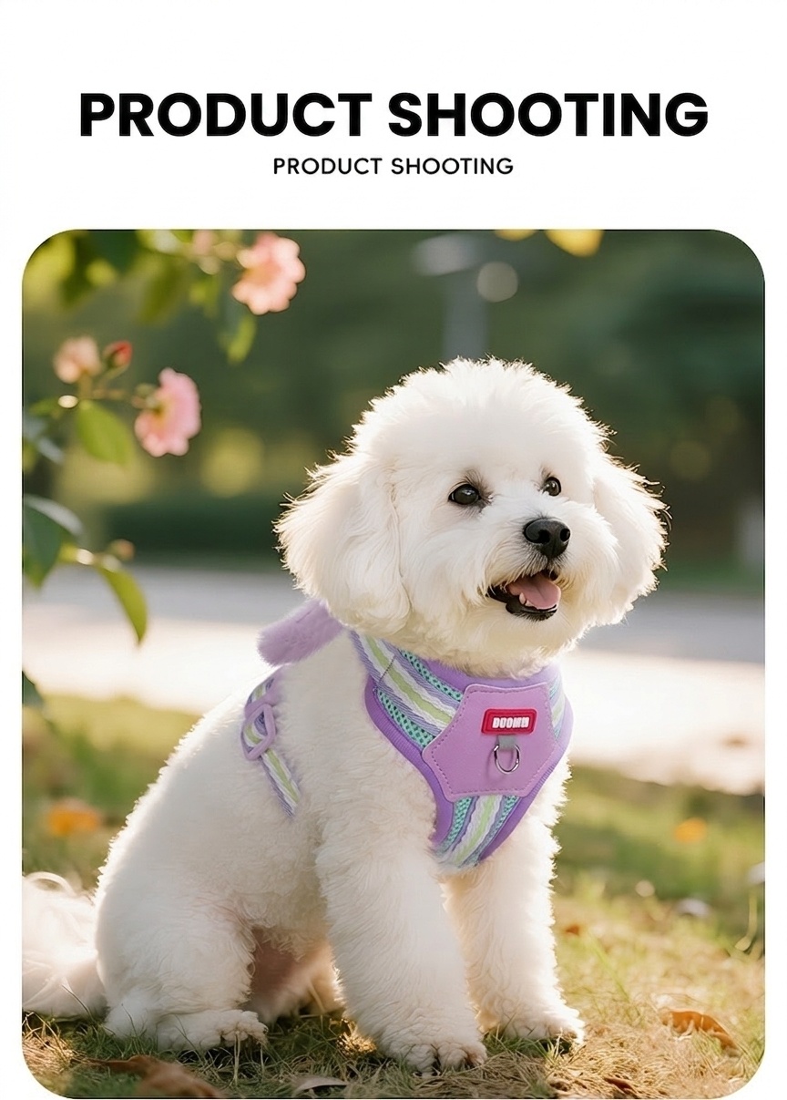 Cute Pet Harness & Leash Set with Plush Toy - Breathable Mesh
