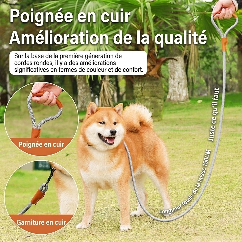 Laisse pour chien résistante et réfléchissante avec poignée en cuir confortable