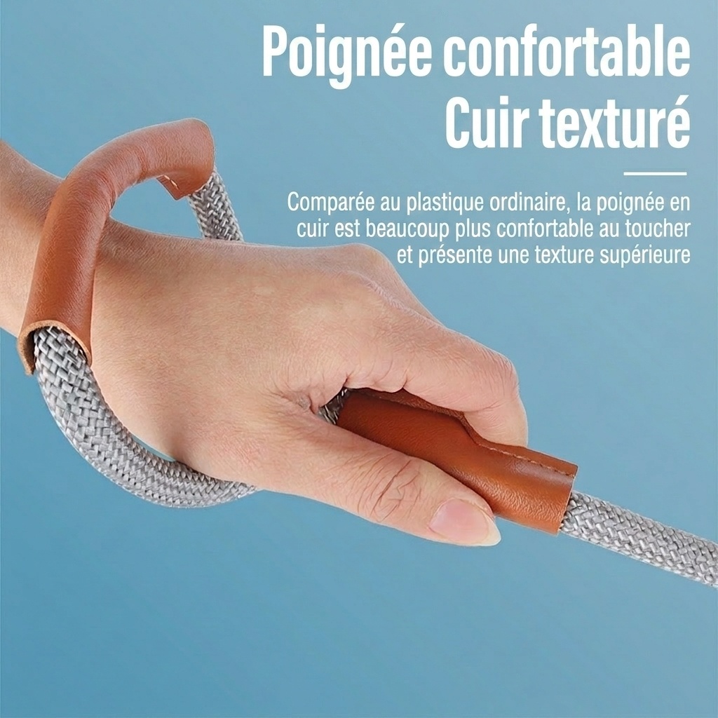 Laisse pour chien résistante et réfléchissante avec poignée en cuir confortable