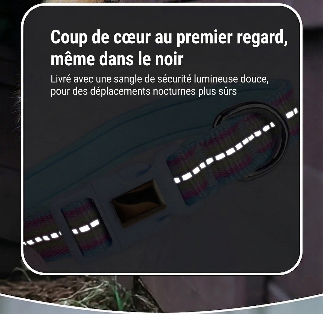 Collier réfléchissant à motif floral pour animaux de compagnie avec étiquette d'identification gravable