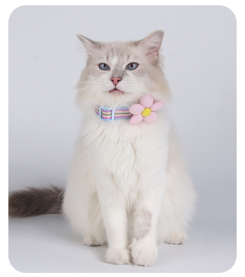 Reflective Flower Pet Collar with Engravable ID Tag for Pets