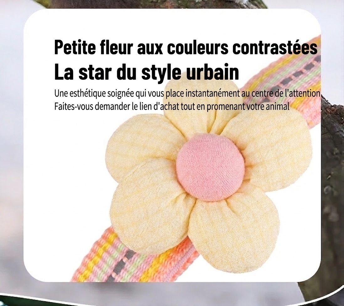 Collier réfléchissant à motif floral pour animaux de compagnie avec étiquette d'identification gravable