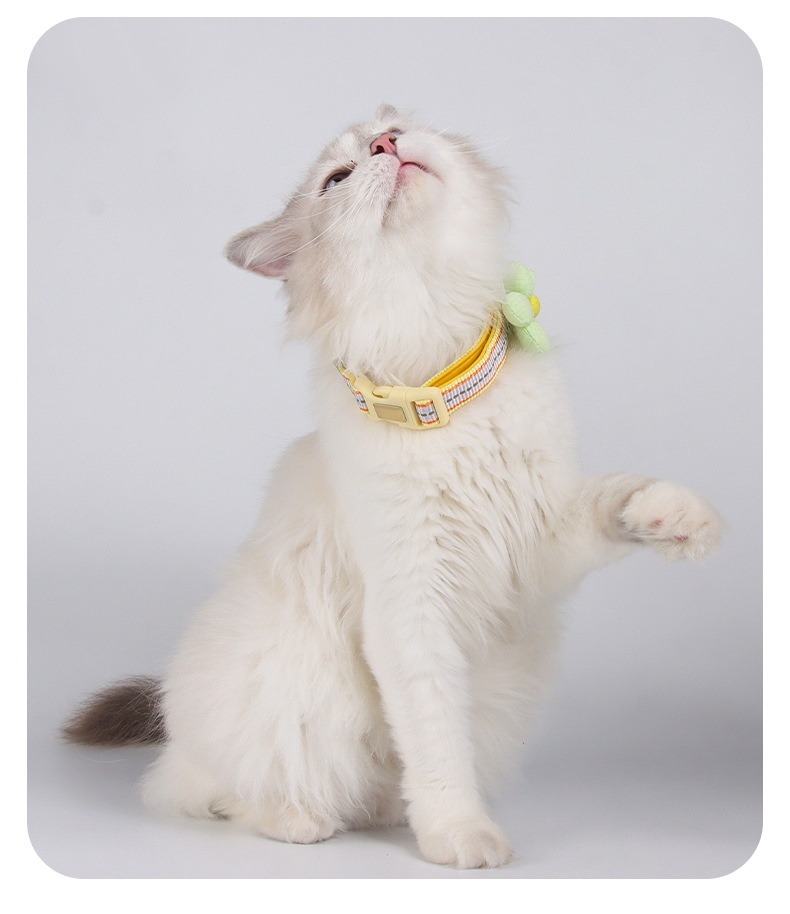 Reflective Flower Pet Collar with Engravable ID Tag for Pets