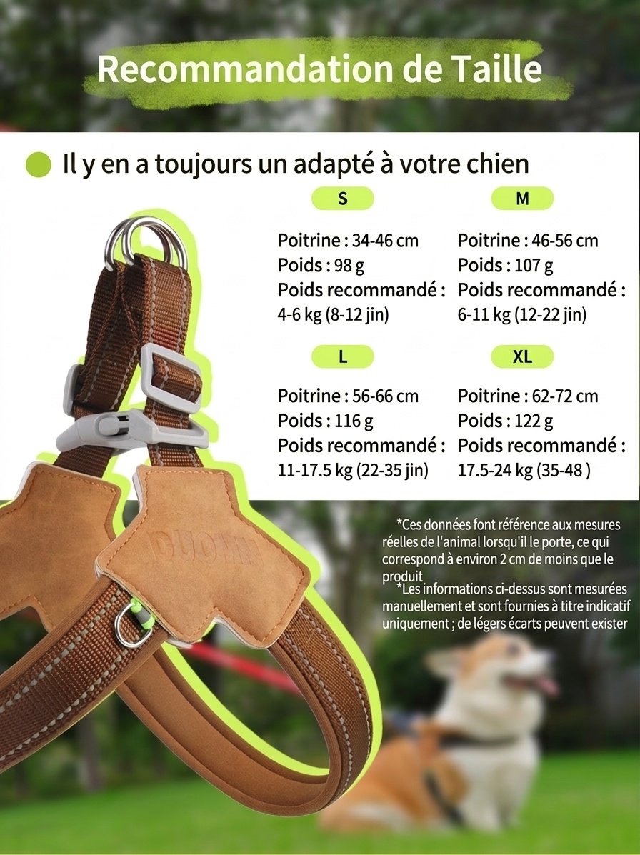Harnais réfléchissant confortable en forme de Y pour chien, idéal pour la promenade