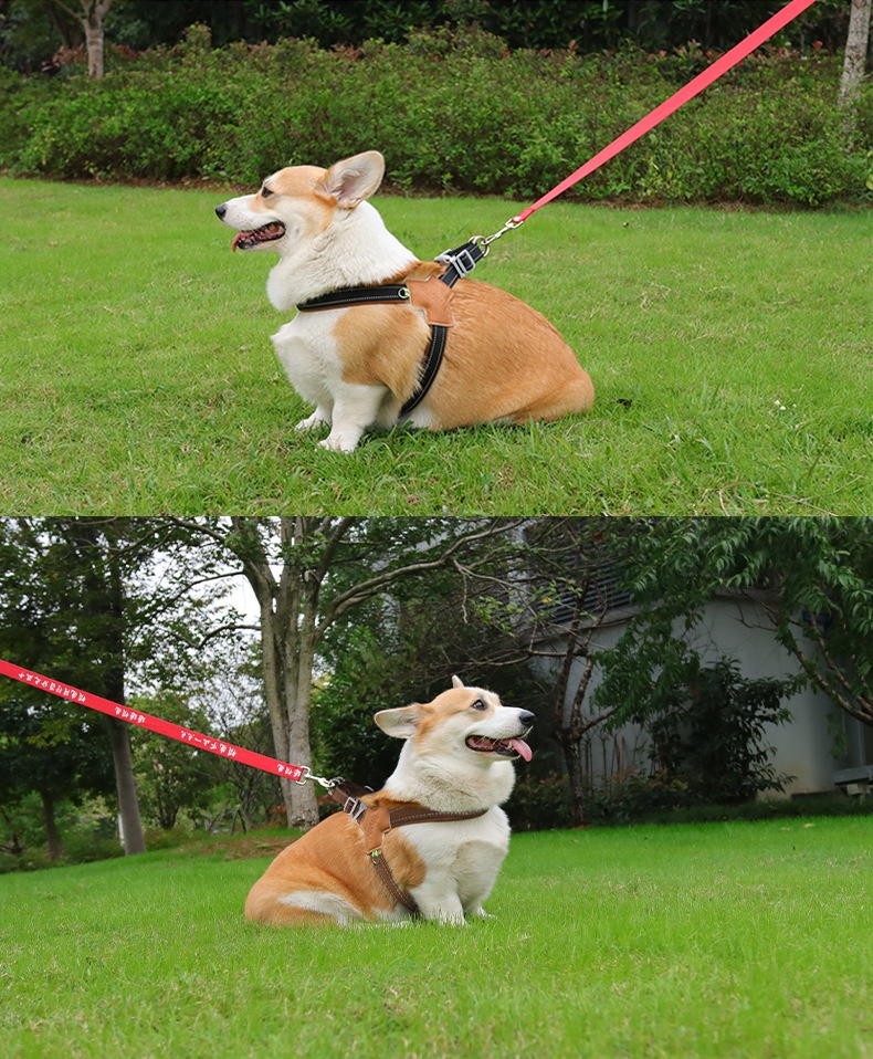 Comfort Y-Shape Reflective Dog Harness for Walking