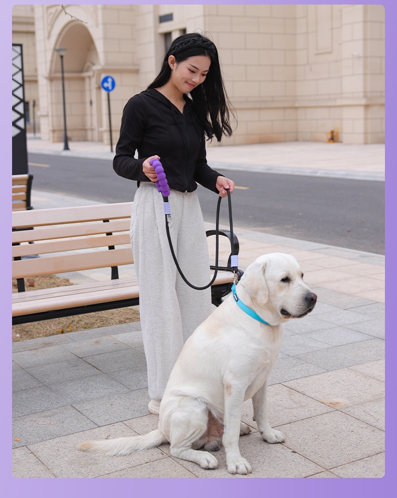 Comfort Grip Pet Leash - Durable Nylon