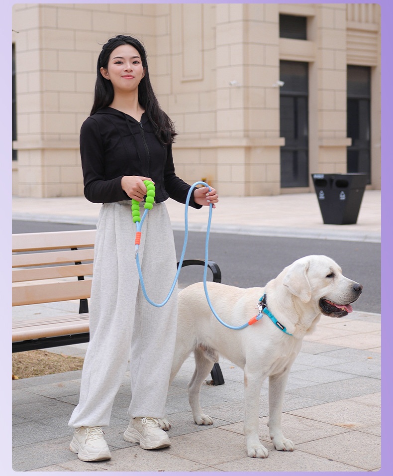 Comfort Grip Pet Leash - Durable Nylon