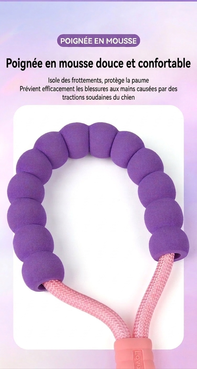 Laisse pour animaux de compagnie Comfort Grip - Nylon durable