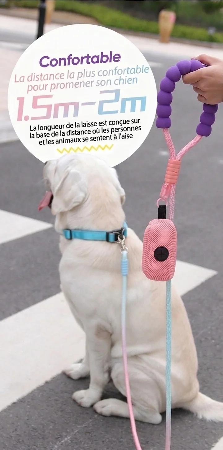 Laisse pour animaux de compagnie Comfort Grip - Nylon durable