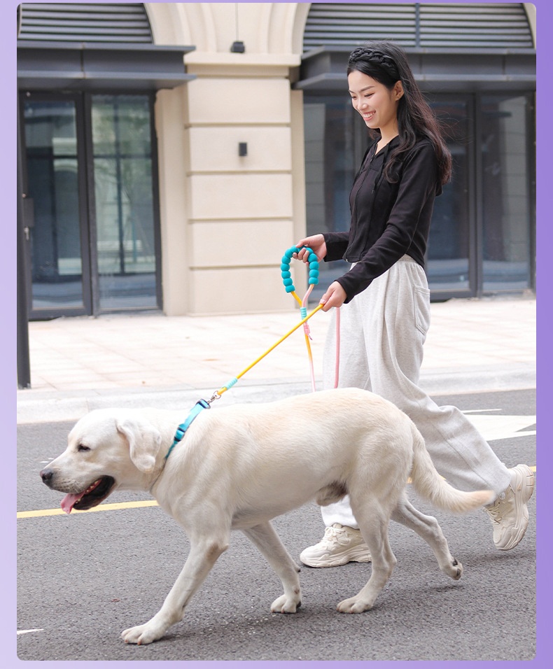 Comfort Grip Pet Leash - Durable Nylon