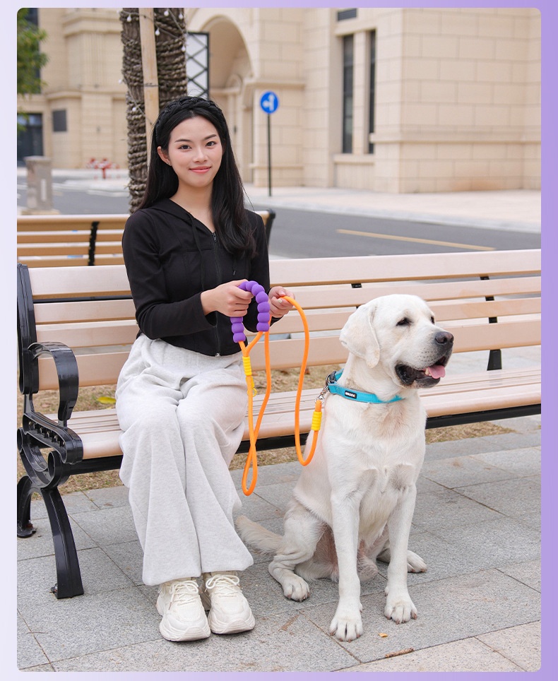 Comfort Grip Pet Leash - Durable Nylon