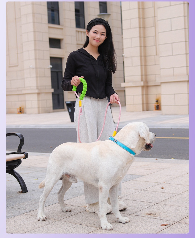 Comfort Grip Pet Leash - Durable Nylon