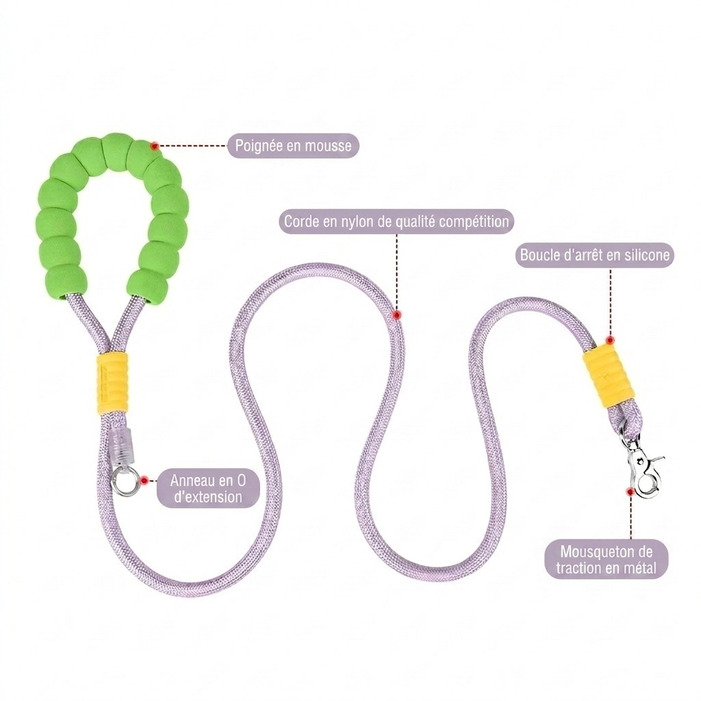 Laisse pour animaux de compagnie Comfort Grip - Nylon durable