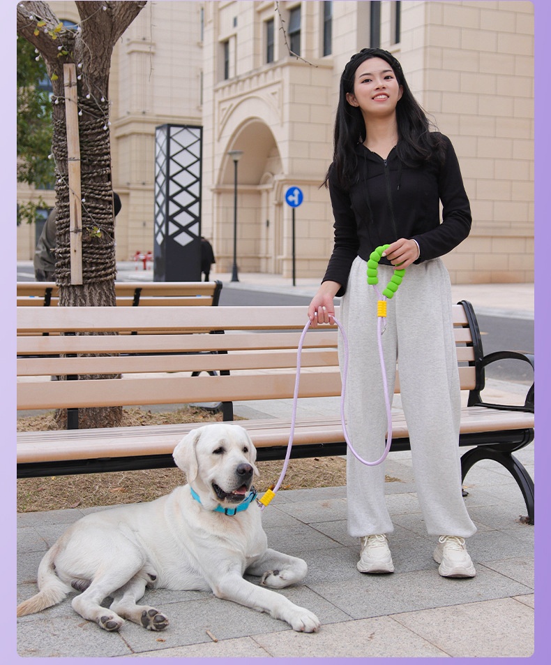 Comfort Grip Pet Leash - Durable Nylon