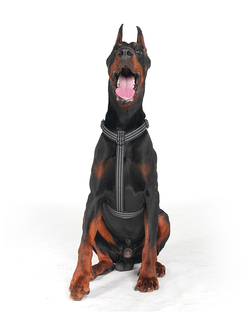 Reflective No-Pull Dog Harness - Adjustable & Comfortable