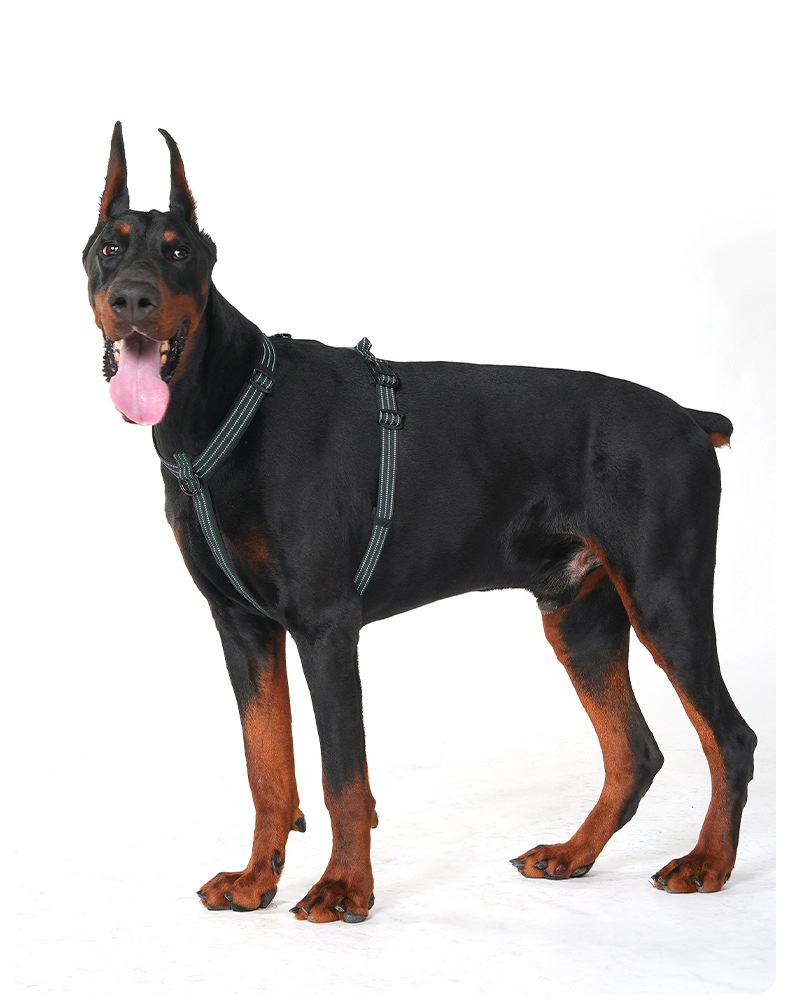 Reflective No-Pull Dog Harness - Adjustable & Comfortable