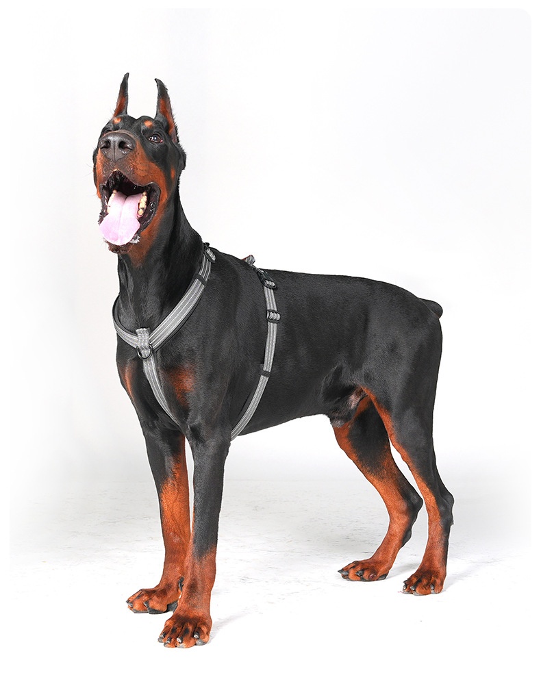 Reflective No-Pull Dog Harness - Adjustable & Comfortable