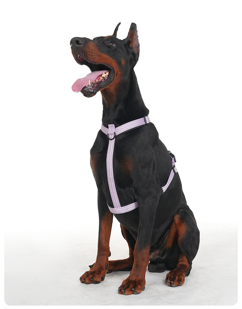 Reflective No-Pull Dog Harness - Adjustable & Comfortable