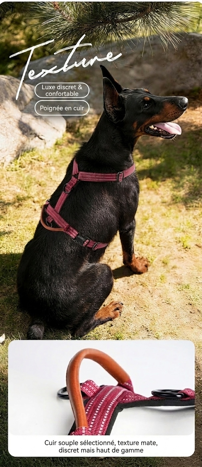 Reflective No-Pull Dog Harness - Adjustable & Comfortable