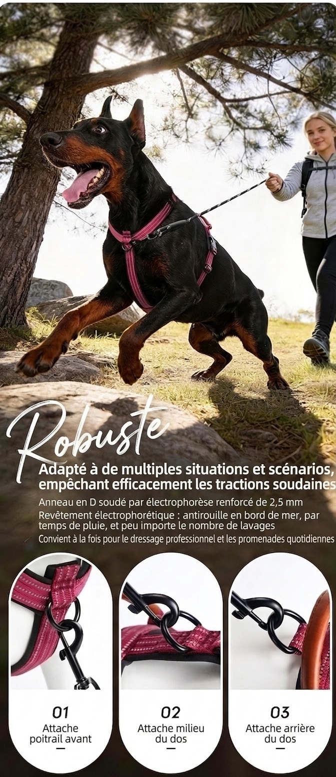 Reflective No-Pull Dog Harness - Adjustable & Comfortable