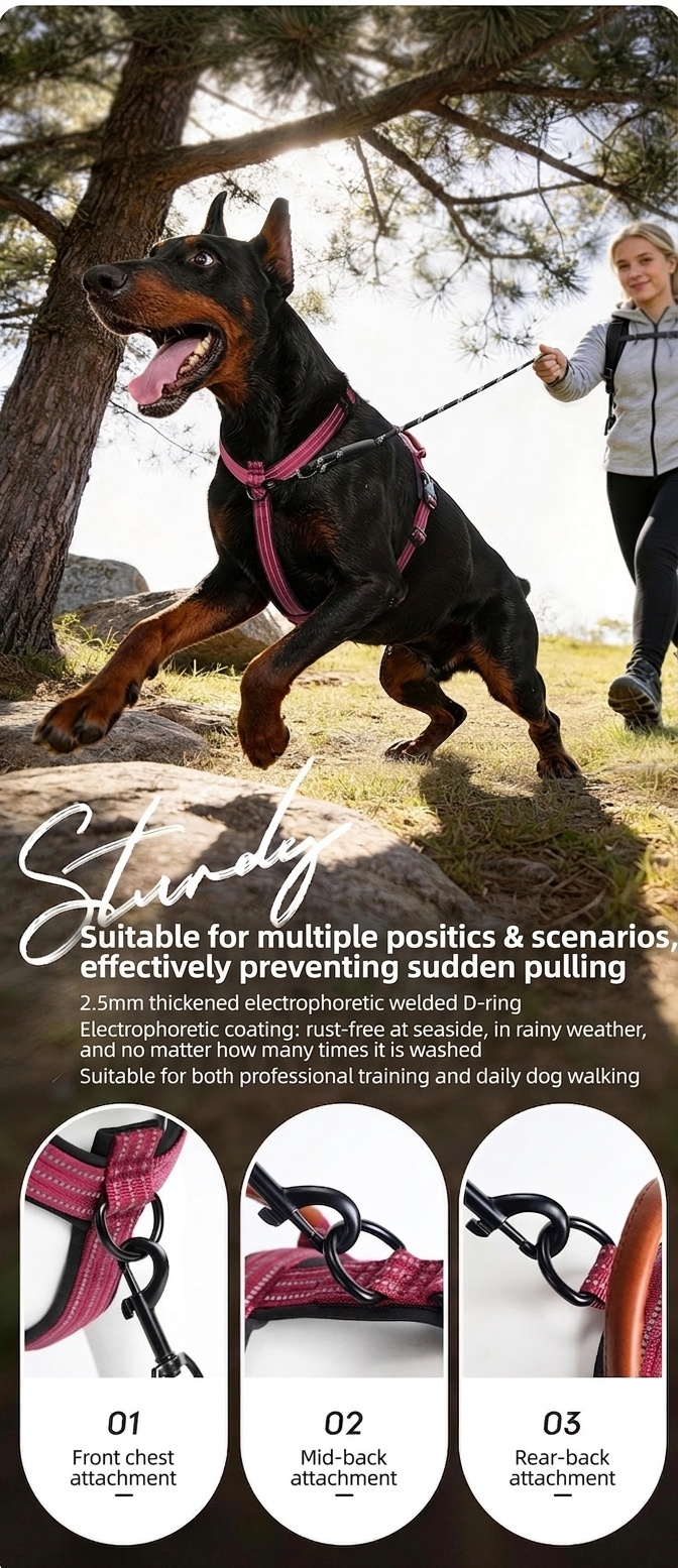 Reflective No-Pull Dog Harness - Adjustable & Comfortable