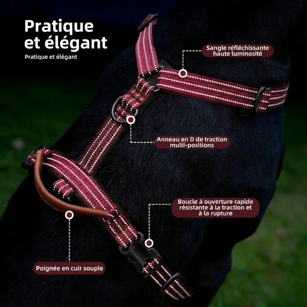 Reflective No-Pull Dog Harness - Adjustable & Comfortable