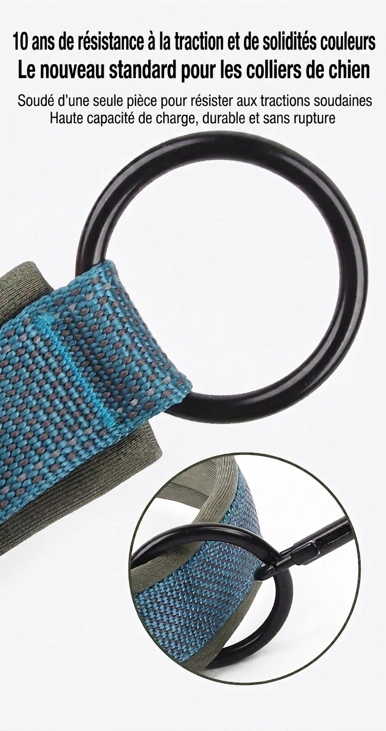 Collier réfléchissant rembourré pour chien - Ajustable et confortable