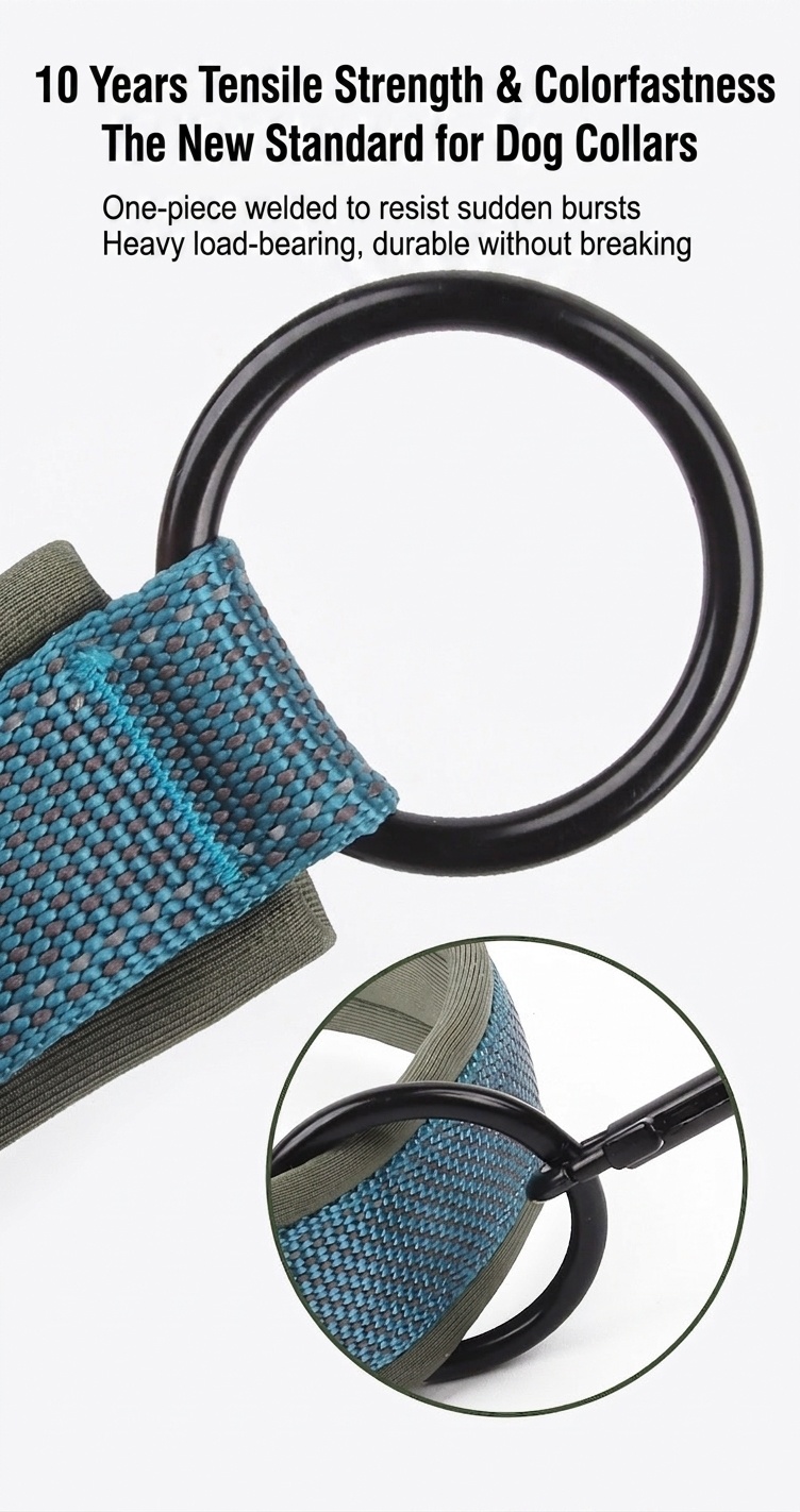 Padded Reflective Dog Collar - Adjustable & Comfortable