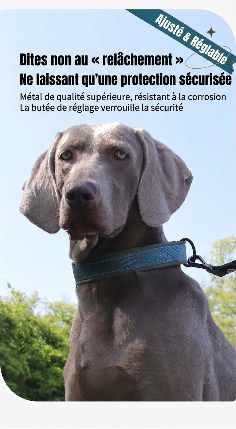 Collier réfléchissant rembourré pour chien - Ajustable et confortable