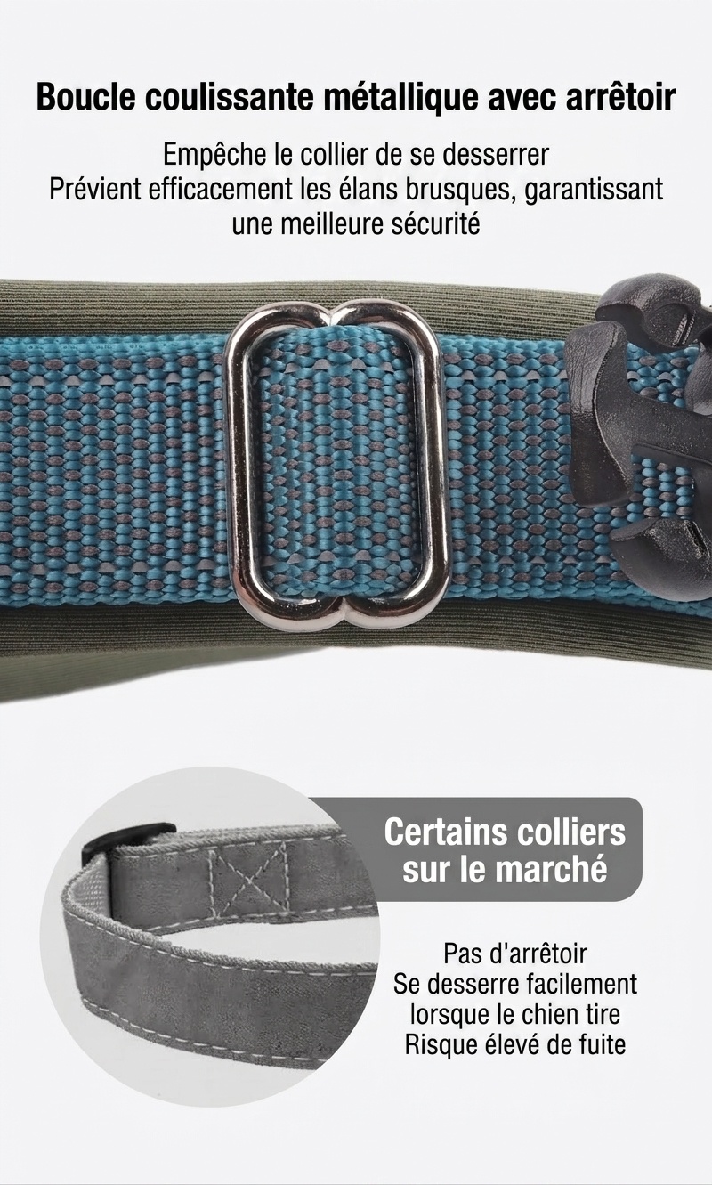 Collier réfléchissant rembourré pour chien - Ajustable et confortable