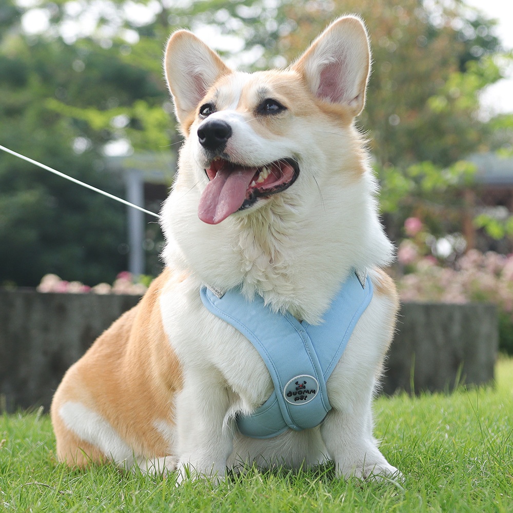 Comfort X-Back No-Pull Dog Harness & Leash Set - Reflective
