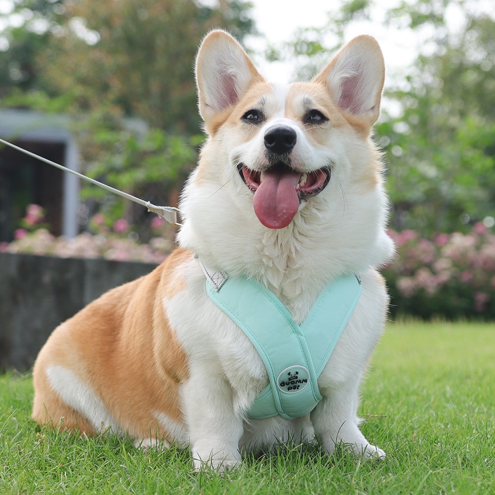 Comfort X-Back No-Pull Dog Harness & Leash Set - Reflective