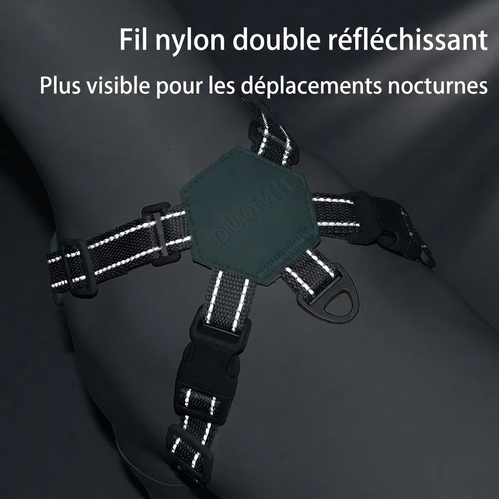 Harnais et laisse anti-traction Comfort X-Back pour chien - Réfléchissant