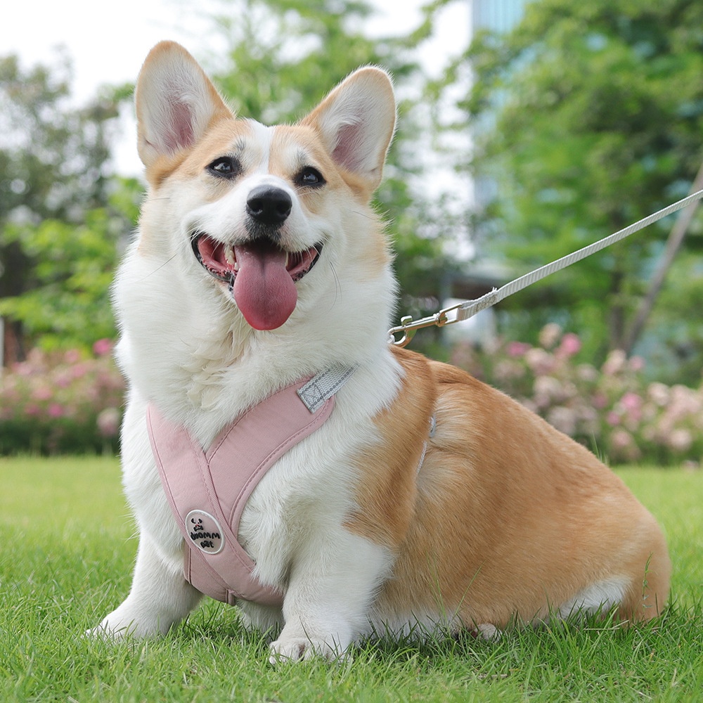 Comfort X-Back No-Pull Dog Harness & Leash Set - Reflective