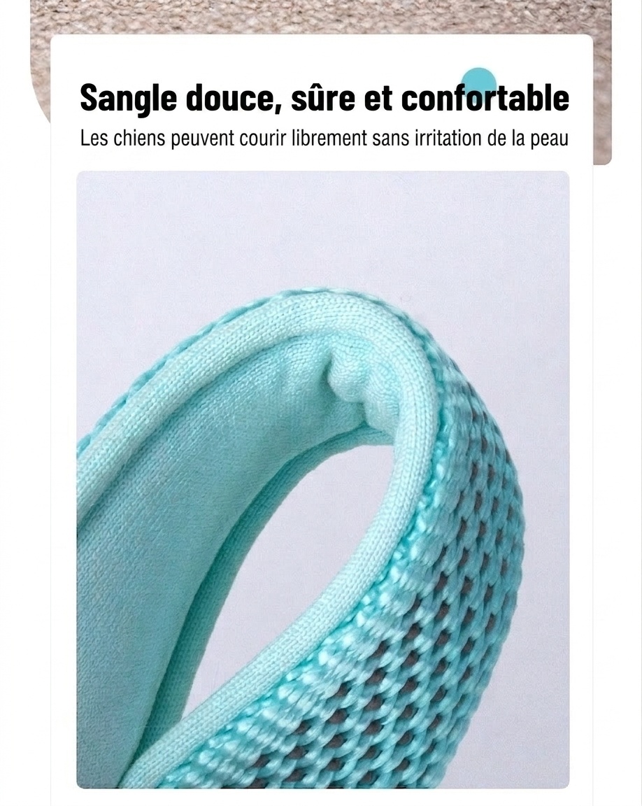 Harnais réfléchissant en forme de Y pour chien - Ajustable et confortable sans traction