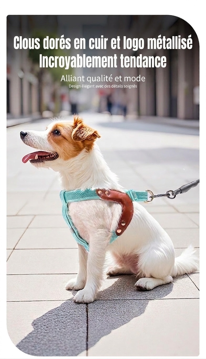 Harnais réfléchissant en forme de Y pour chien - Ajustable et confortable sans traction