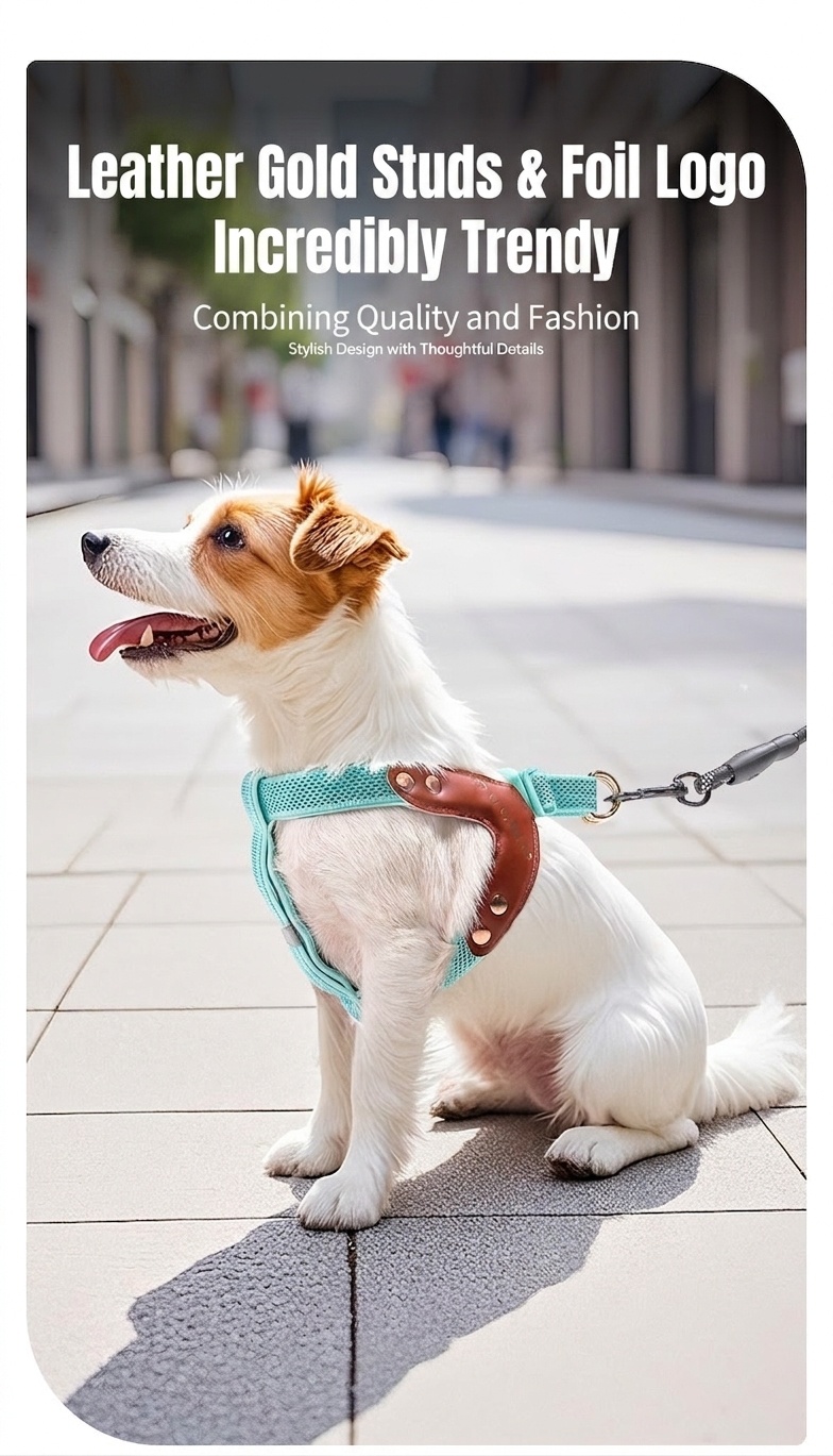 Reflective Y-Shape Dog Harness - Adjustable & No-Pull Comfort