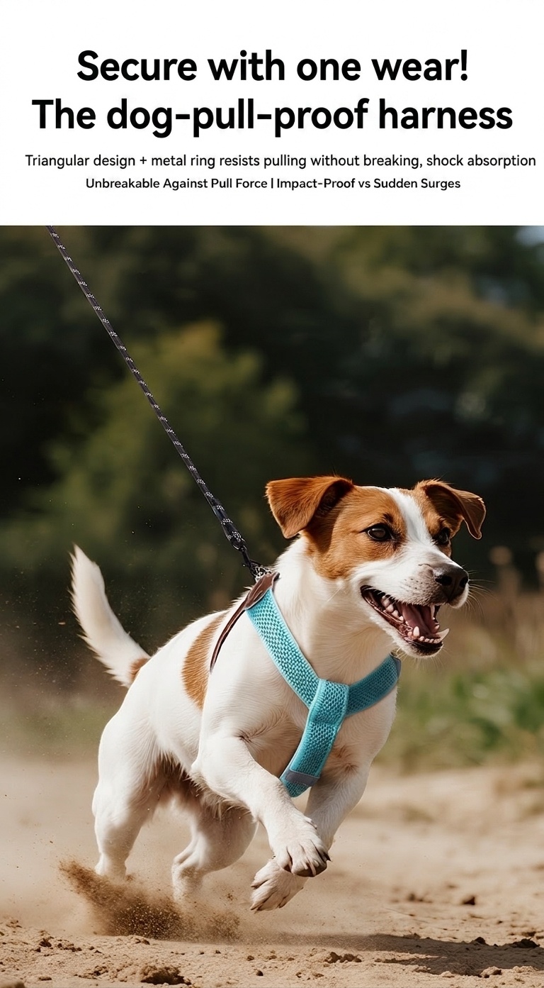 Reflective Y-Shape Dog Harness - Adjustable & No-Pull Comfort
