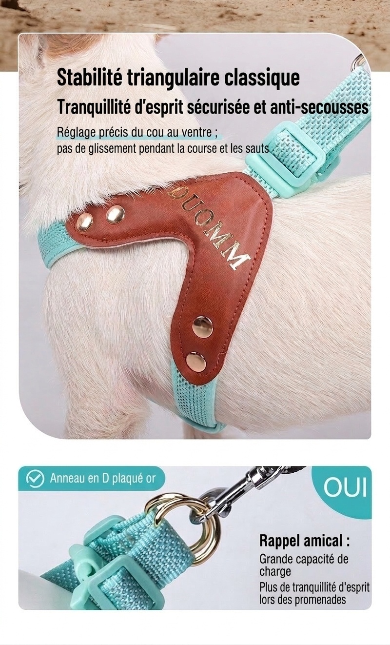 Harnais réfléchissant en forme de Y pour chien - Ajustable et confortable sans traction